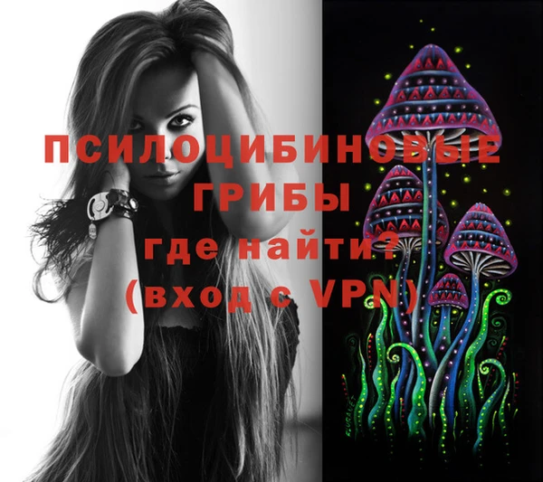 каннабис Арсеньев