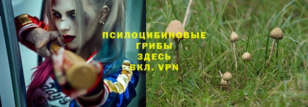 кокс Аркадак